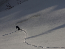 JGP_519.JPG