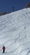DSCF1236.JPG