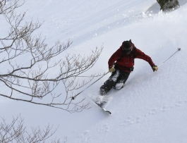 JGP_0463.JPG